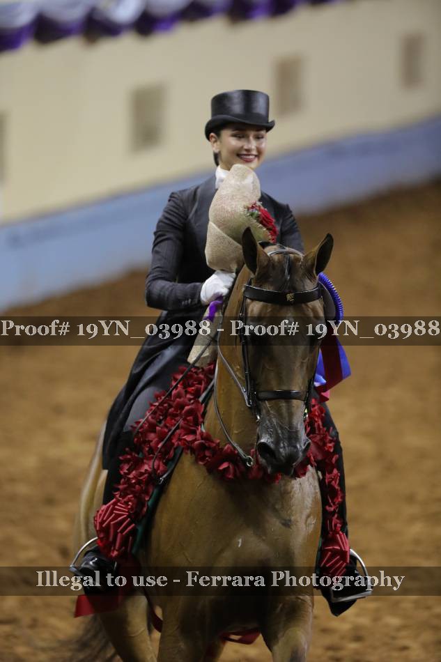 Proof 19YN_03988