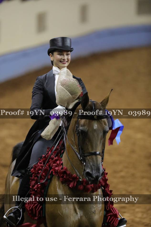 Proof 19YN_03989
