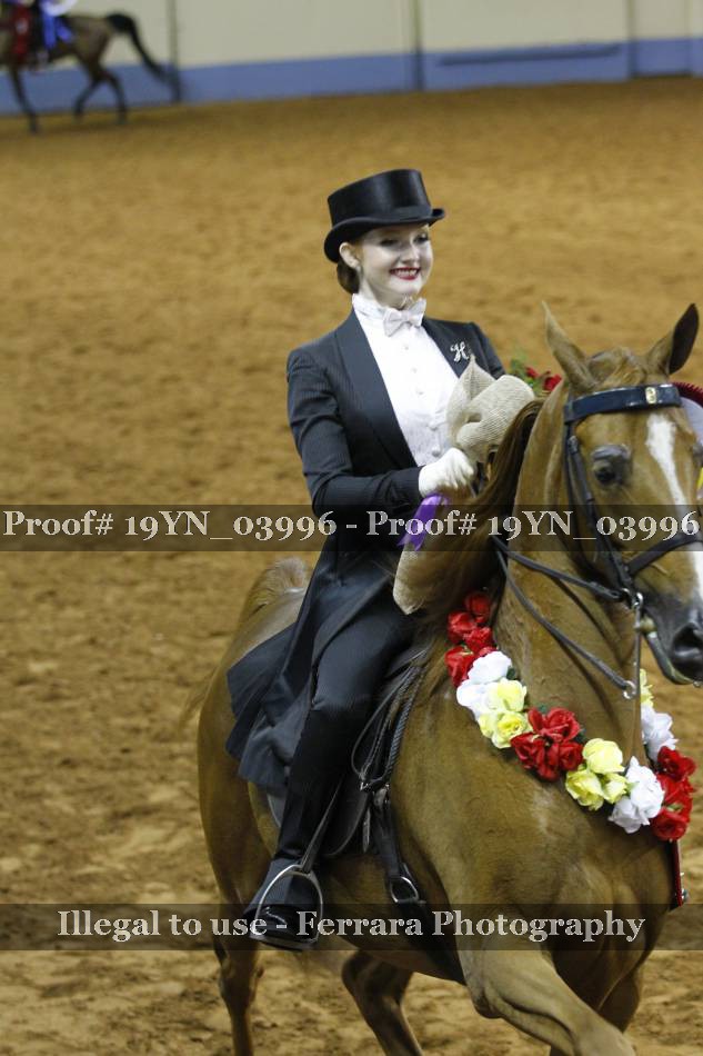 Proof 19YN_03996