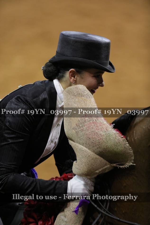 Proof 19YN_03997