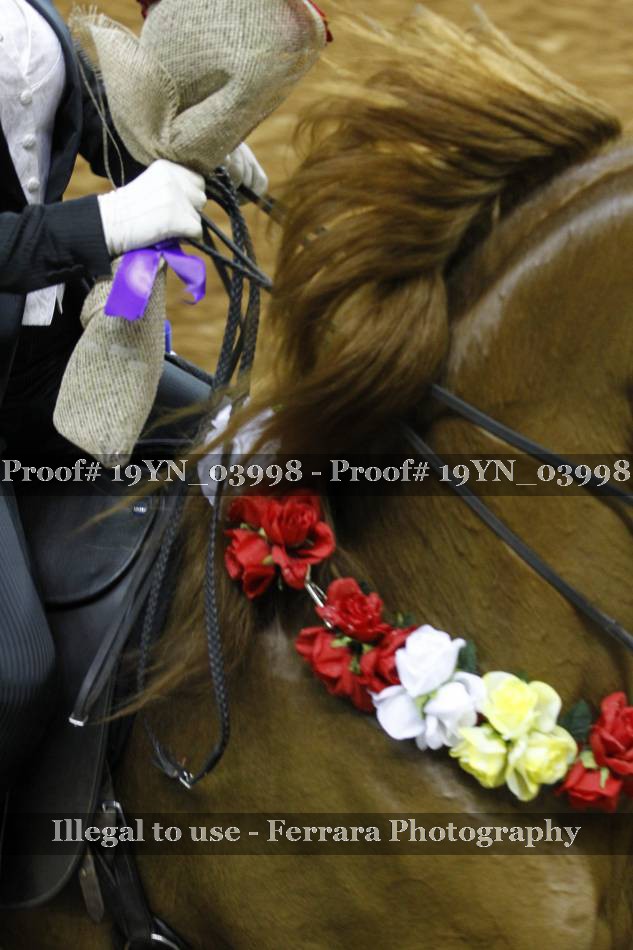 Proof 19YN_03998