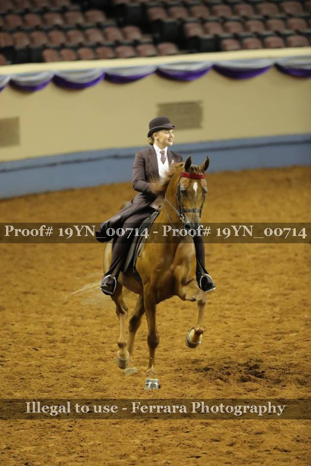 Proof 19YN_00714