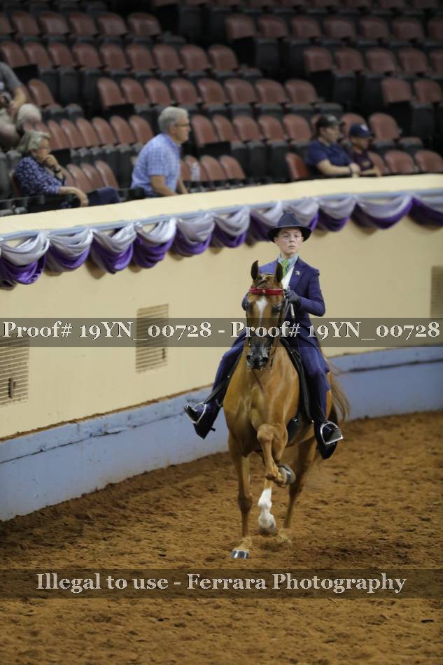 Proof 19YN_00728