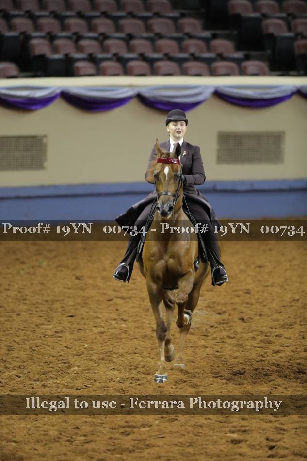Proof 19YN_00734