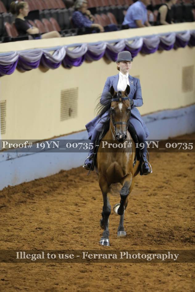 Proof 19YN_00735