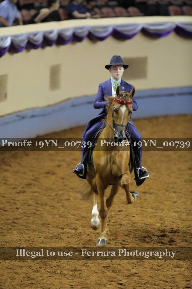 Proof 19YN_00739
