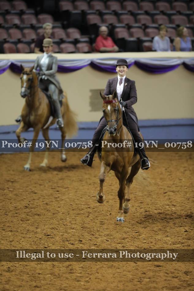 Proof 19YN_00758