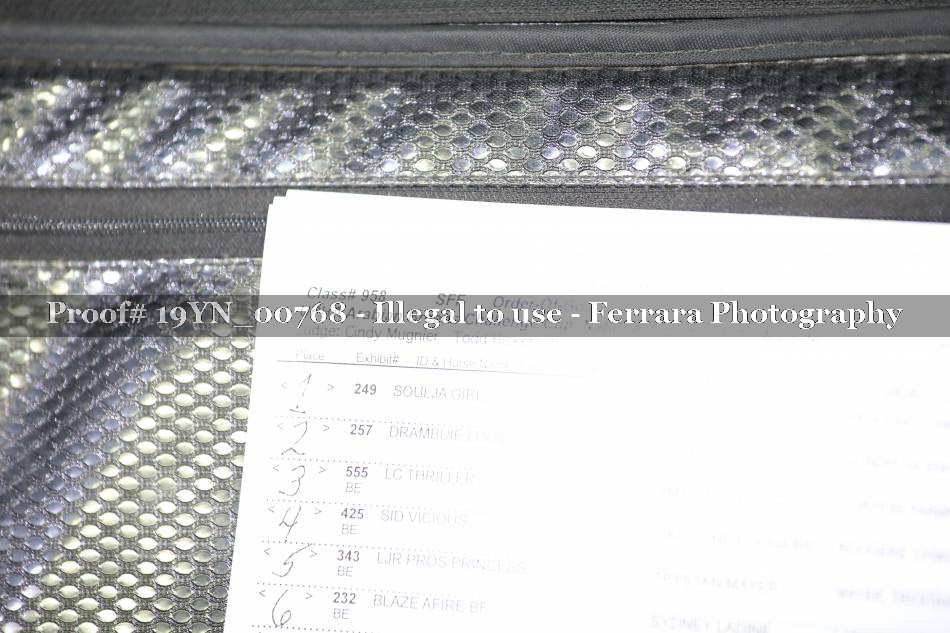 Proof 19YN_00768