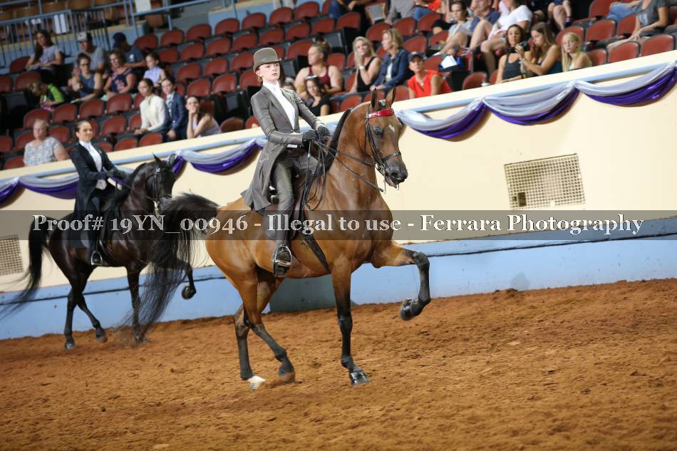 Proof 19YN_00946
