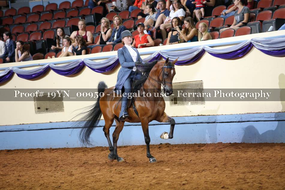 Proof 19YN_00950