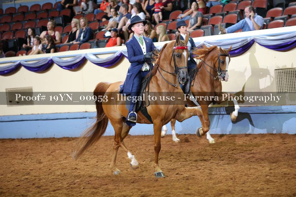 Proof 19YN_00953