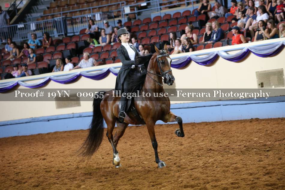 Proof 19YN_00955