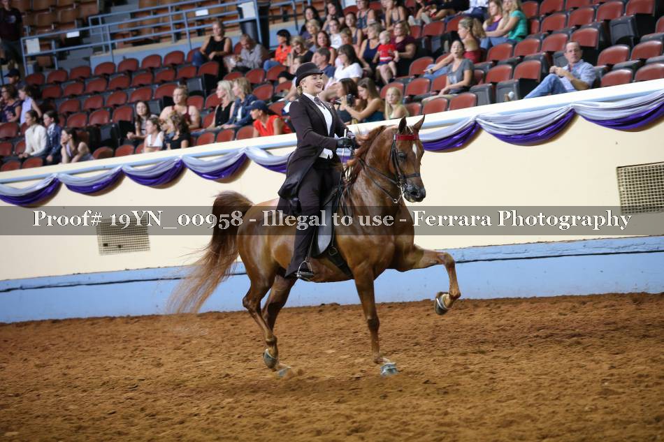 Proof 19YN_00958