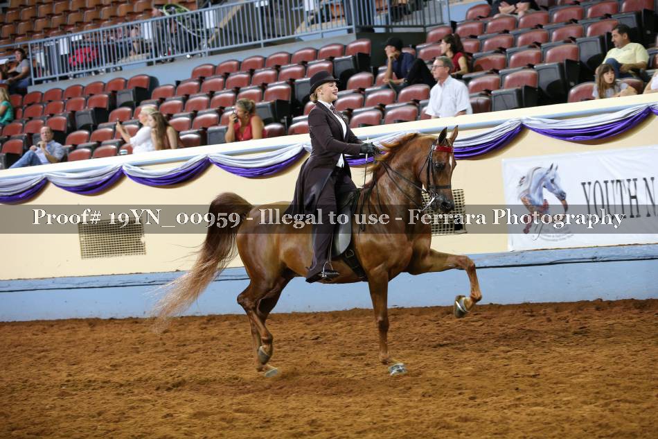 Proof 19YN_00959