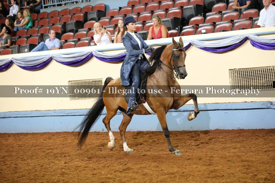 Proof 19YN_00961