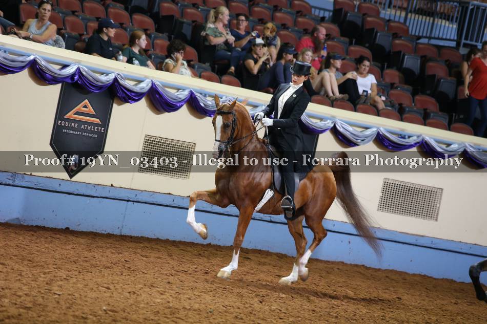 Proof 19YN_03403