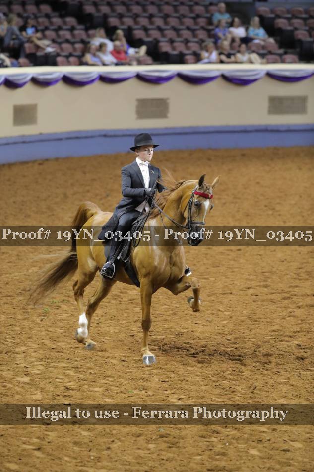 Proof 19YN_03405