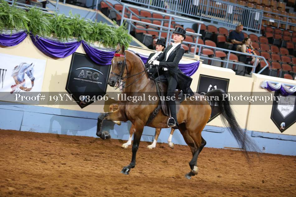 Proof 19YN_03406