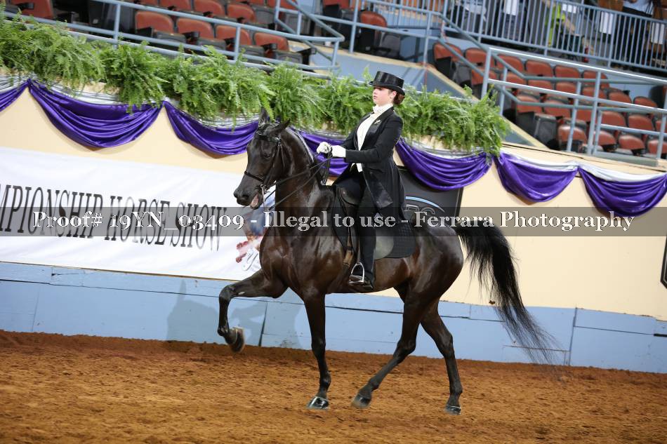 Proof 19YN_03409