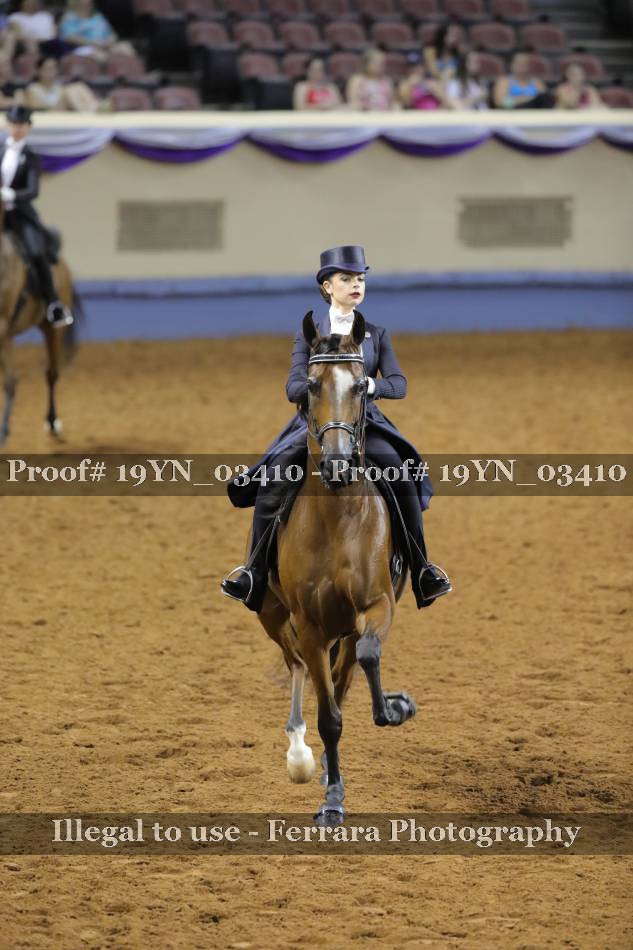 Proof 19YN_03410