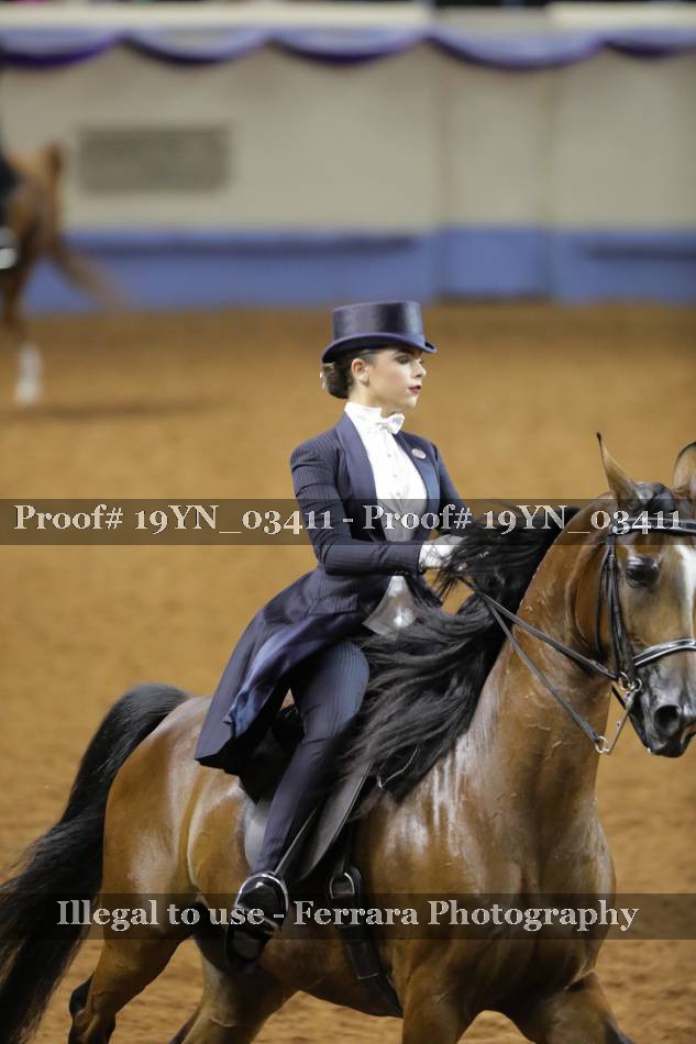Proof 19YN_03411