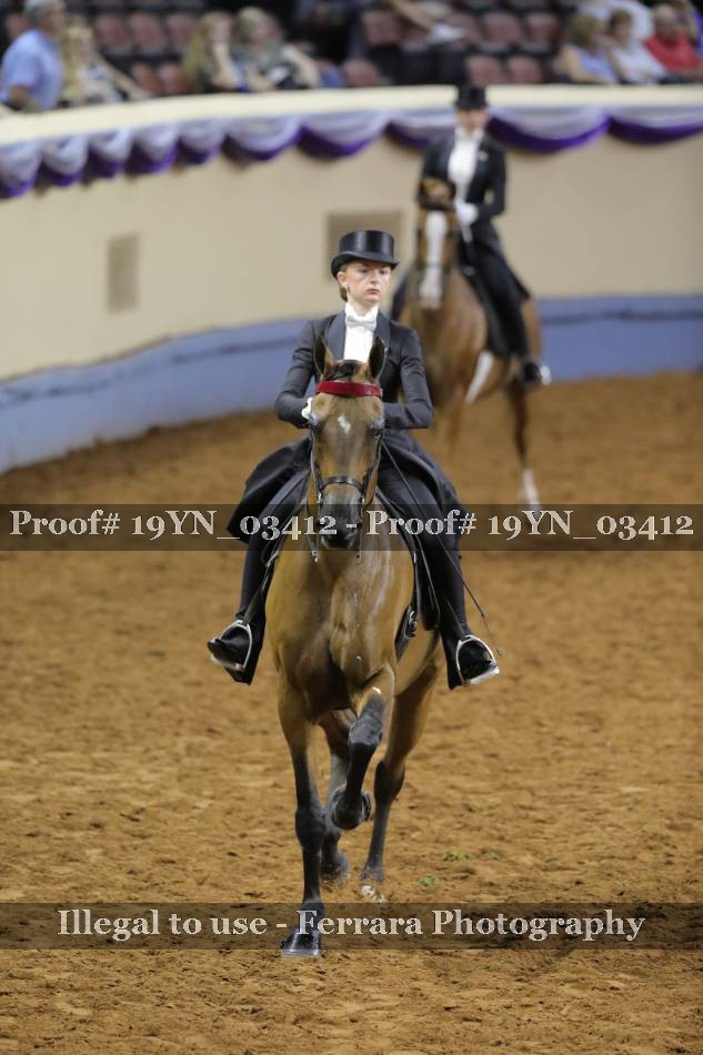 Proof 19YN_03412