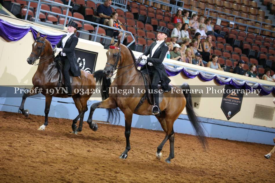 Proof 19YN_03426
