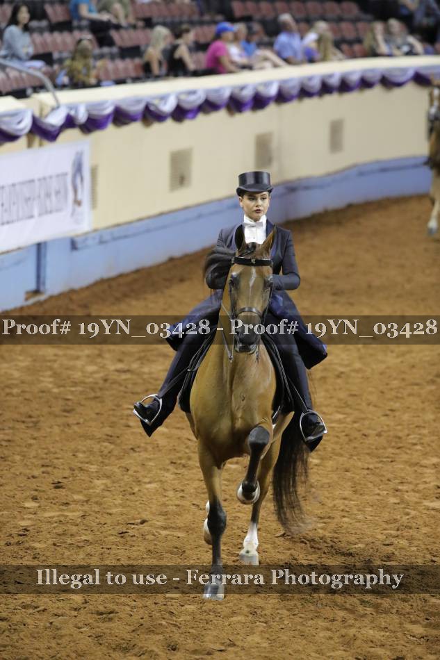 Proof 19YN_03428