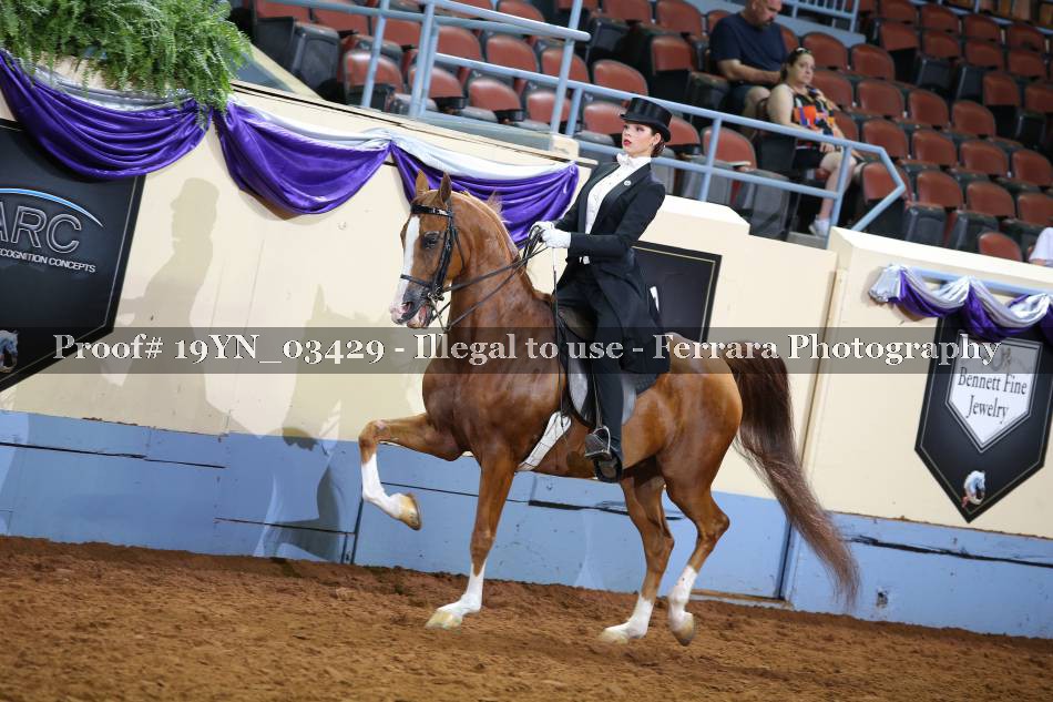 Proof 19YN_03429
