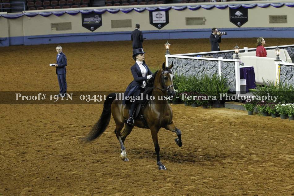 Proof 19YN_03431