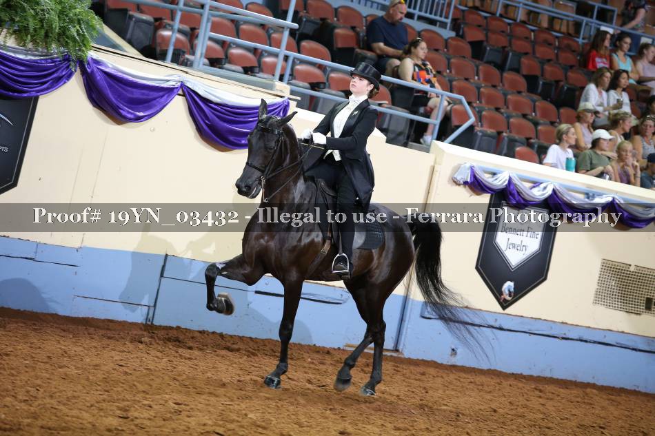 Proof 19YN_03432