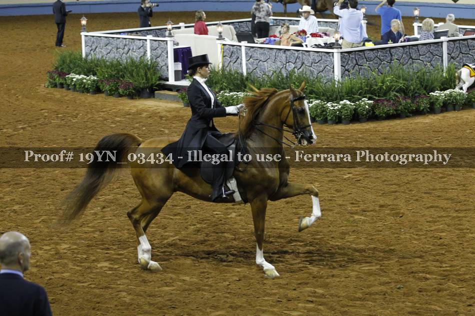 Proof 19YN_03434