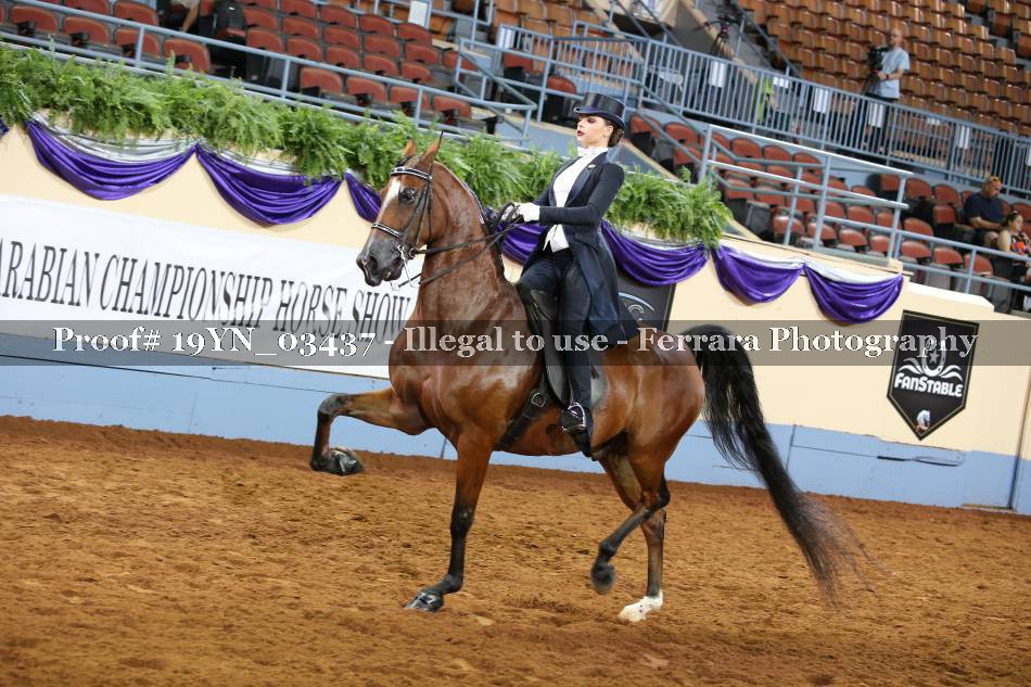 Proof 19YN_03437