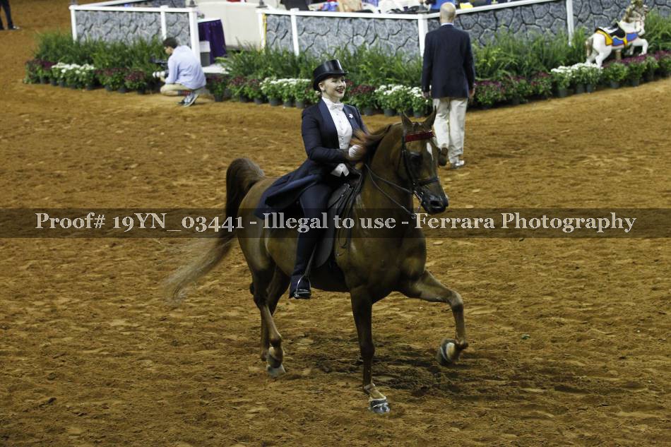 Proof 19YN_03441