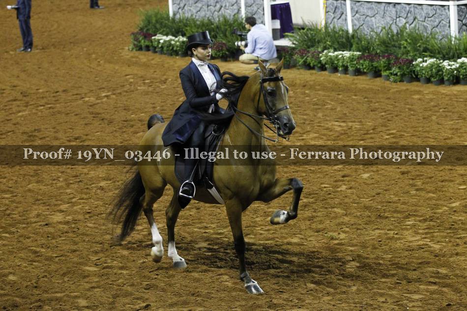 Proof 19YN_03446