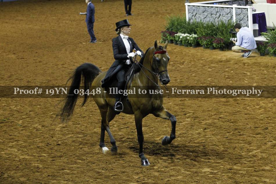 Proof 19YN_03448