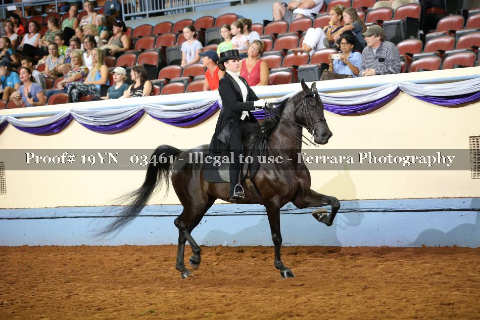 Proof 19YN_03461