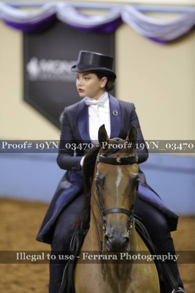 Proof 19YN_03470