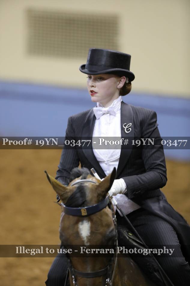 Proof 19YN_03477