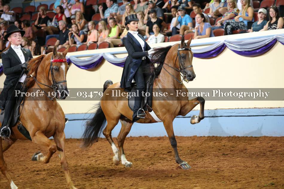 Proof 19YN_03479