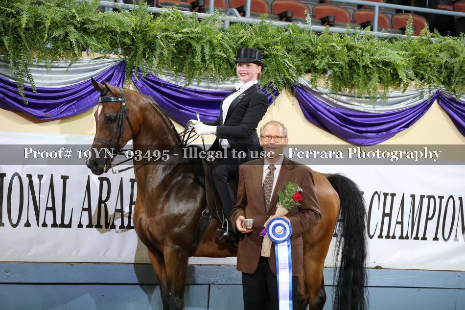 Proof 19YN_03495