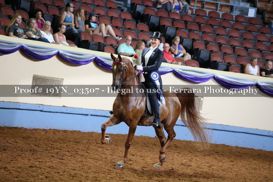 Proof 19YN_03507