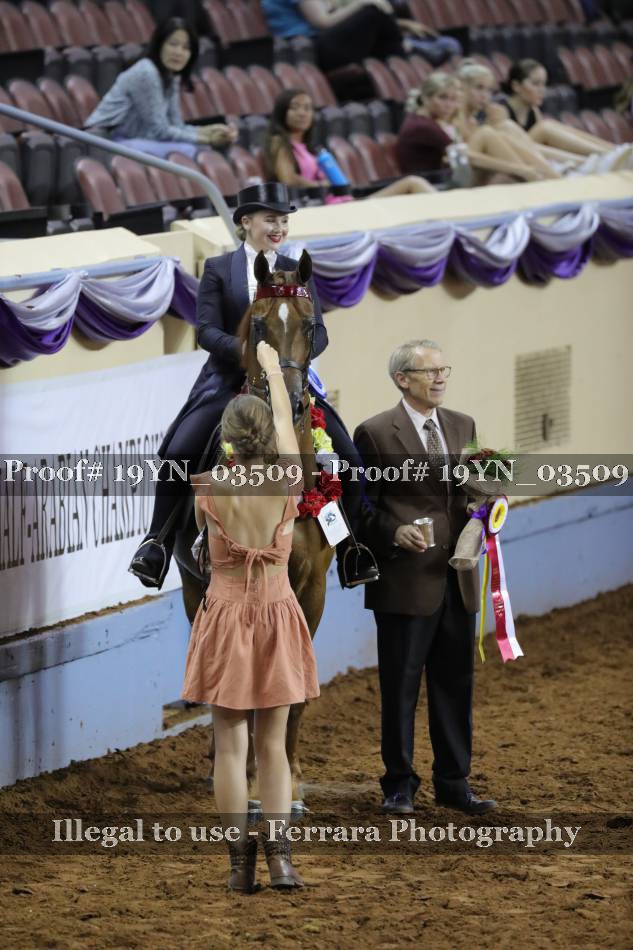 Proof 19YN_03509