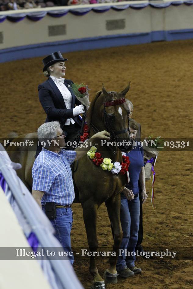 Proof 19YN_03531