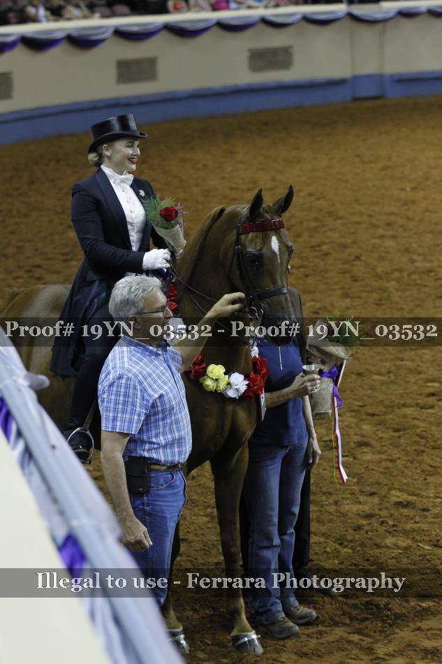 Proof 19YN_03532