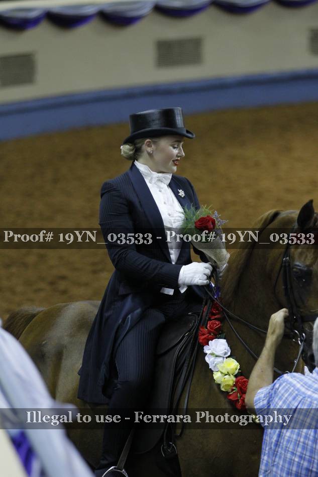 Proof 19YN_03533
