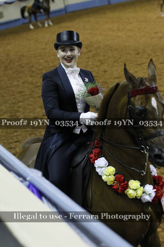 Proof 19YN_03534