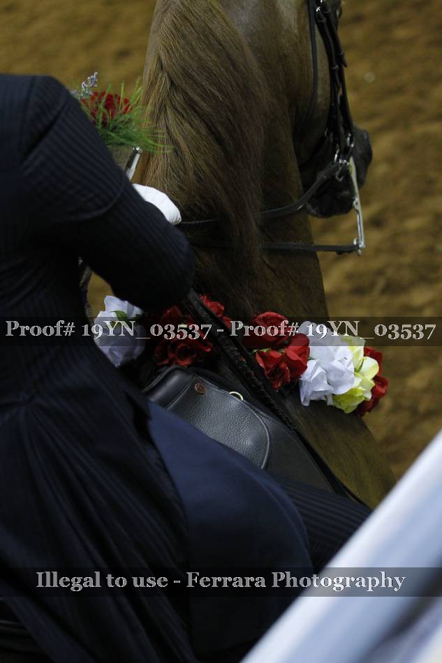 Proof 19YN_03537