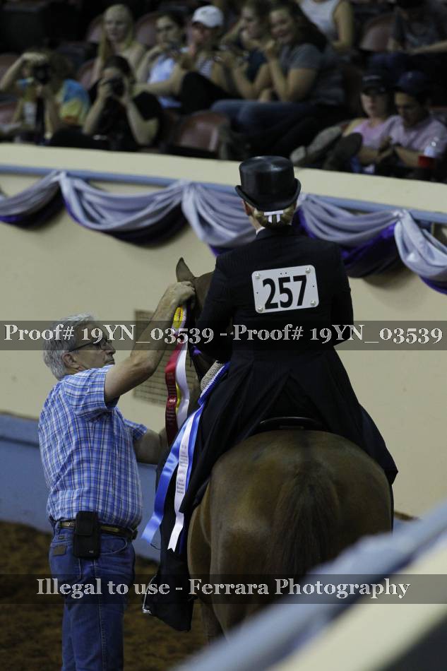 Proof 19YN_03539