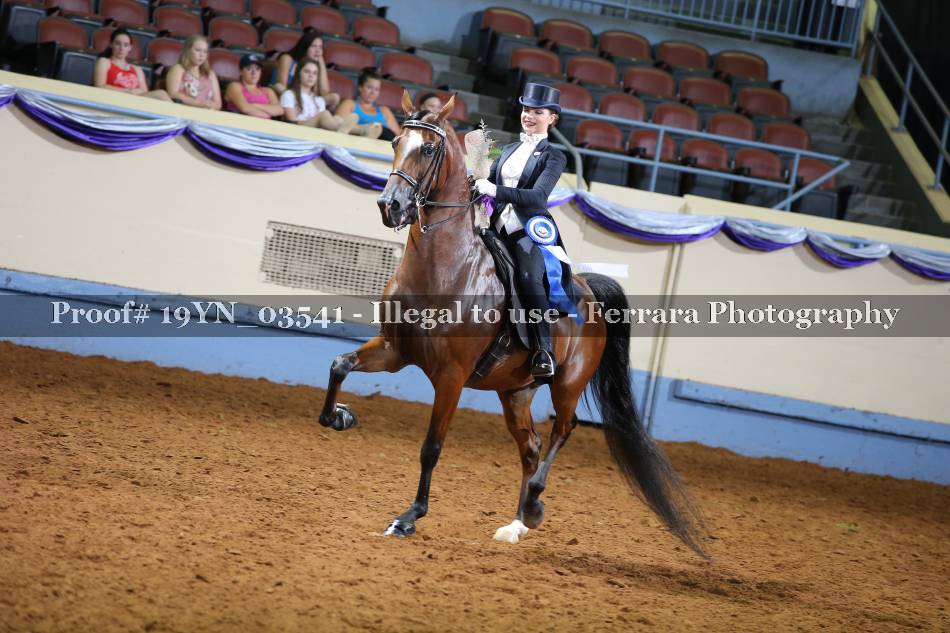 Proof 19YN_03541